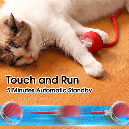 The Boredom Buster: Smart Self-Moving Ball for Bored Cats & Dogs