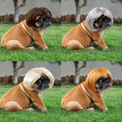 The "Regional Manager" Pet Wig