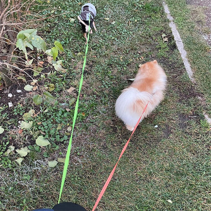 Dual Retractable Dog Leash with Flashlight & Poop Bag Dispenser | 360° No-Tangle Double Lead