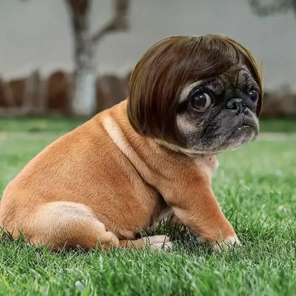 The "Regional Manager" Pet Wig