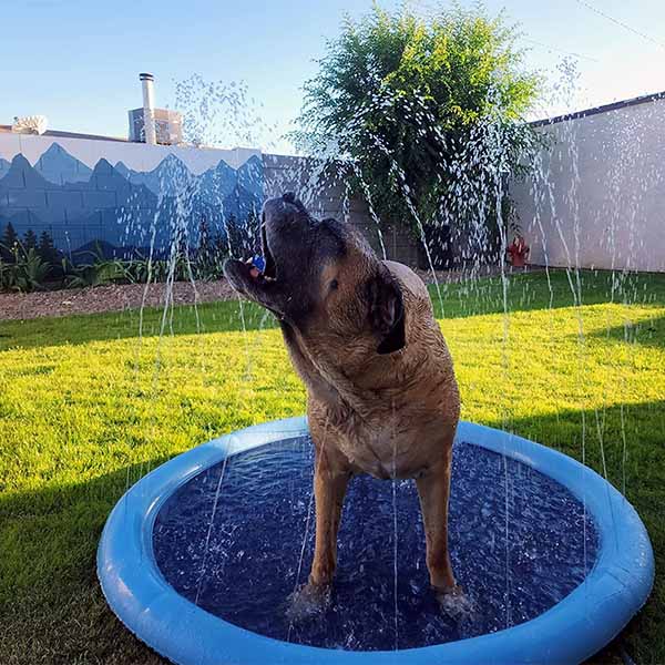 NobleClaws™ SplashPad  - The Ultimate Summer Cooling & Play Experience For Your Dog 💦