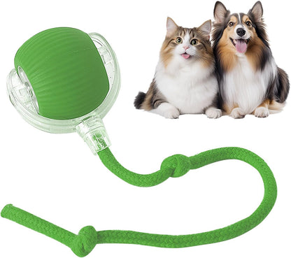 The Boredom Buster: Smart Self-Moving Ball for Bored Cats & Dogs