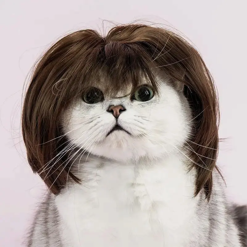 The "Regional Manager" Pet Wig