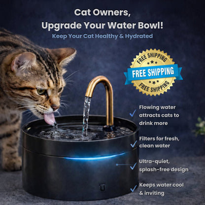 NobleClaws™ Wireless Cat Water Fountain – Cordless, Ultra Quiet & Filtered Fresh Water for Healthier Cats