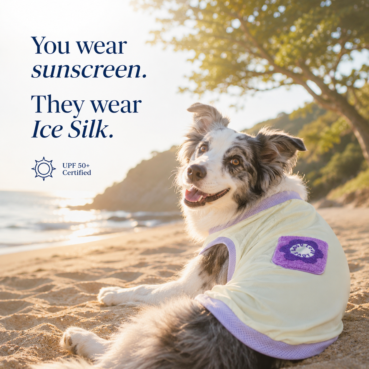 UPF 50+ Certified Canine Cooling Vest