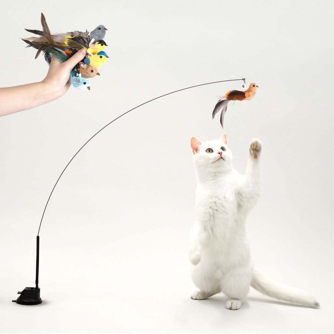 Interactive Bird Simulation Cat Toy