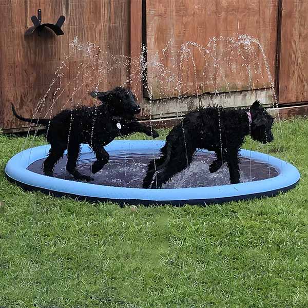 NobleClaws™ SplashPad  - The Ultimate Summer Cooling & Play Experience For Your Dog 💦